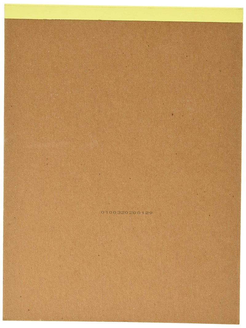 Strathmore 307-809 300 Series Rough Newsprint Pad, 9"x12", 50 sheets, Natural Tone - NewNest Australia