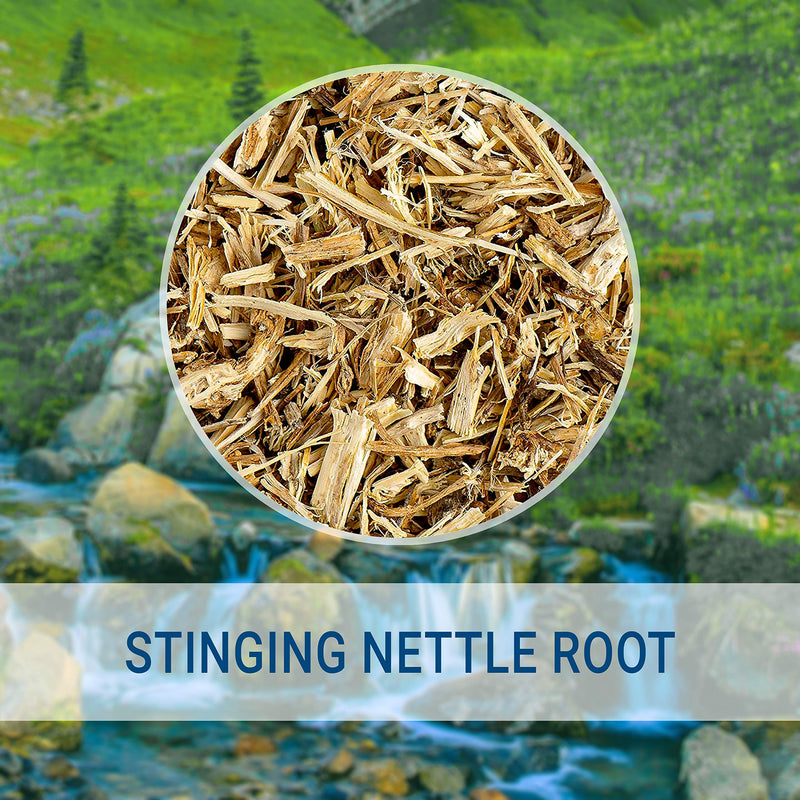 HERBAMAMA Stinging Nettle Liquid Extract - Urtica Dioica Root Diet Supplement - Natural Non-GMO Homeopathic Support - Promotes Cleansing, Pain Relief & Normal Blood Pressure Levels - 2 fl. Oz Bottle 2 Fl Oz (Pack of 1) - NewNest Australia