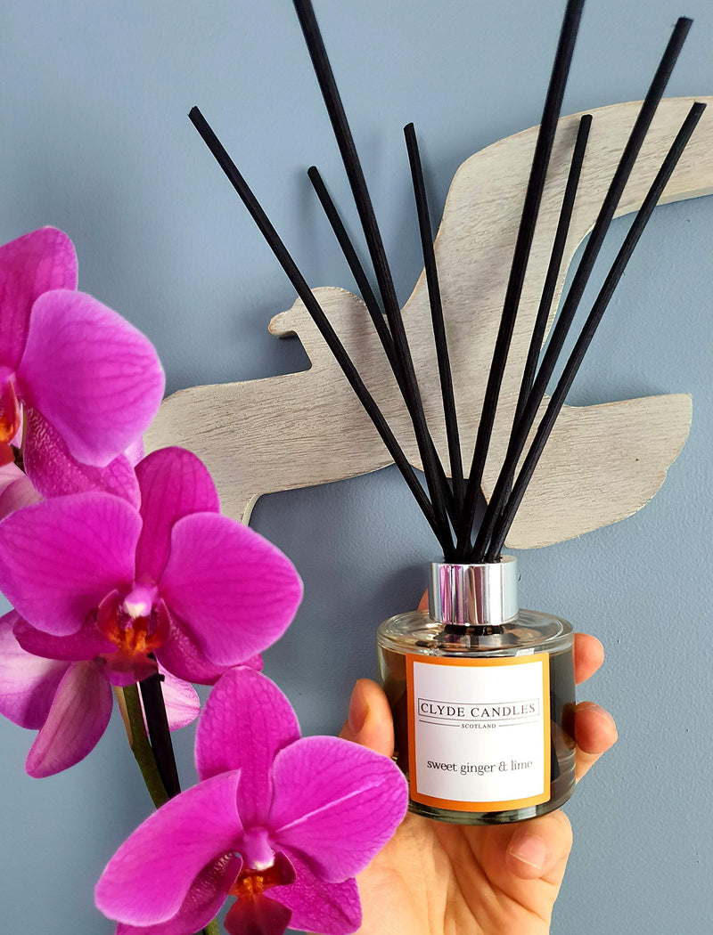Clyde Candles Sweet Ginger & Lime Reed Diffuser, Luxury Diffuser Oil with a Set of 7 Fibre Sticks, Best Aroma Scent for Home, Kitchen, Living Room, Bathroom. Fragrance Diffusers set with sticks - NewNest Australia