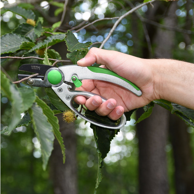 WilFiks Garden Anvil Pruning Shears - 8" Smooth Action Hand Pruner - Secateurs Steel Gardening Scissors with Comfortable Handle and Shock Absorbing Spring - Branch, Stem and Tree Trimmer Hand Tool - NewNest Australia