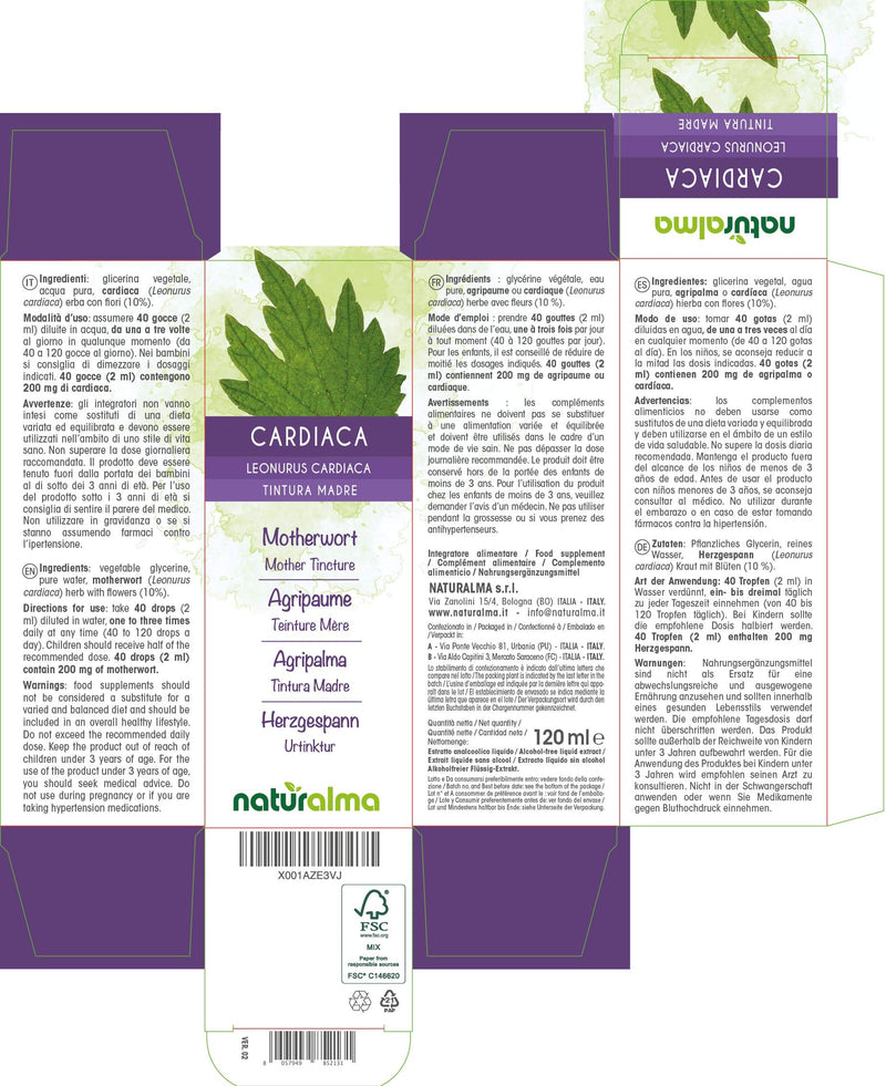 Motherwort (Leonurus cardiaca) herb with Flowers Alcohol-Free Mother Tincture Naturalma | Liquid Extract Drops 120 ml | Food Supplement | Vegan 120 ml (Pack of 1) - NewNest Australia