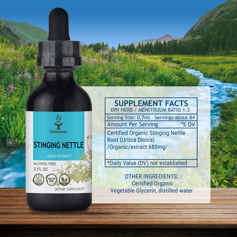 HERBAMAMA Stinging Nettle Liquid Extract - Urtica Dioica Root Diet Supplement - Natural Non-GMO Homeopathic Support - Promotes Cleansing, Pain Relief & Normal Blood Pressure Levels - 2 fl. Oz Bottle 2 Fl Oz (Pack of 1) - NewNest Australia