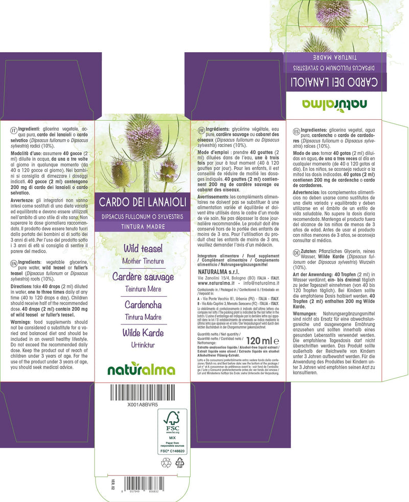 Wild Teasel or Fuller’s Teasel (Dipsacus fullonum or D. sylvestris) Roots Alcohol-Free Mother Tincture Naturalma | Liquid Extract Drops 120 ml | Food Supplement | Vegan - NewNest Australia