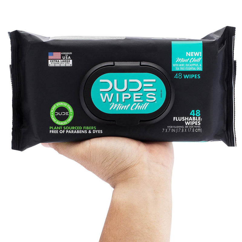 DUDE Wipes Flushable Wet Wipes Dispenser Mint Chill 48Count - Scented Wet Wipes with Vitamin-E Aloe Eucalyptus & Tea Tree Oils for at-Home Use Septic & Sewer Safe Pack of 1 - NewNest Australia