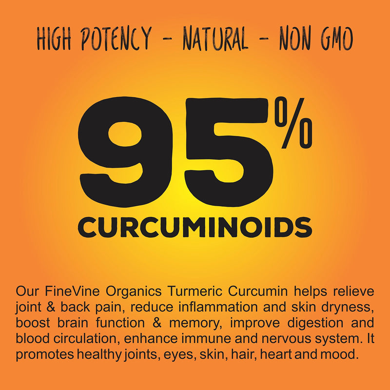 Turmeric Curcumin with BioPerine Black Pepper and Ginger - Made in USA - 120 Vegetarian Capsules for Advanced Absorption, Cardiovascular Health, Joints Support and Anti Aging Supplement - NewNest Australia