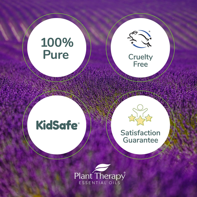 Plant Therapy Lavender Essential Oil 100% Pure, Undiluted, Therapeutic Grade 10 mL (1/3 oz) 0.34 Fl Oz (Pack of 1) - NewNest Australia