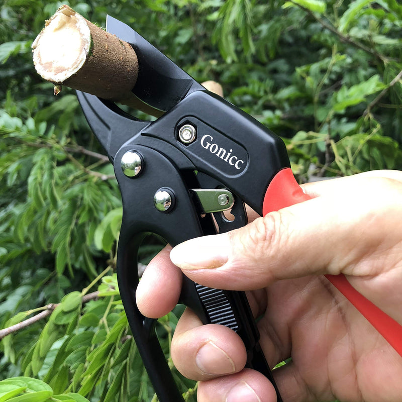 gonicc 8" Professional Ratchet Anvil Pruning Shears (GPPS-1011), Ratcheting Mechanism, Anvil Groove Design, Reinforced Design Handle, Garden Shears Clippers, Anvil Pruner, Hand Tools Scissors Loppers - NewNest Australia