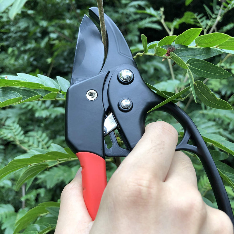 gonicc 8" Professional Ratchet Anvil Pruning Shears (GPPS-1011), Ratcheting Mechanism, Anvil Groove Design, Reinforced Design Handle, Garden Shears Clippers, Anvil Pruner, Hand Tools Scissors Loppers - NewNest Australia