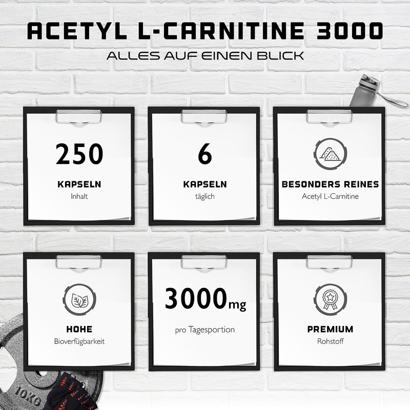 Acetyl L-Carnitine 3000 with 250 capsules - 3000 mg per daily serving - Premium: L-Carnitine as acetyl form - High dosage - Laboratory-tested quality - Vegan - NewNest Australia