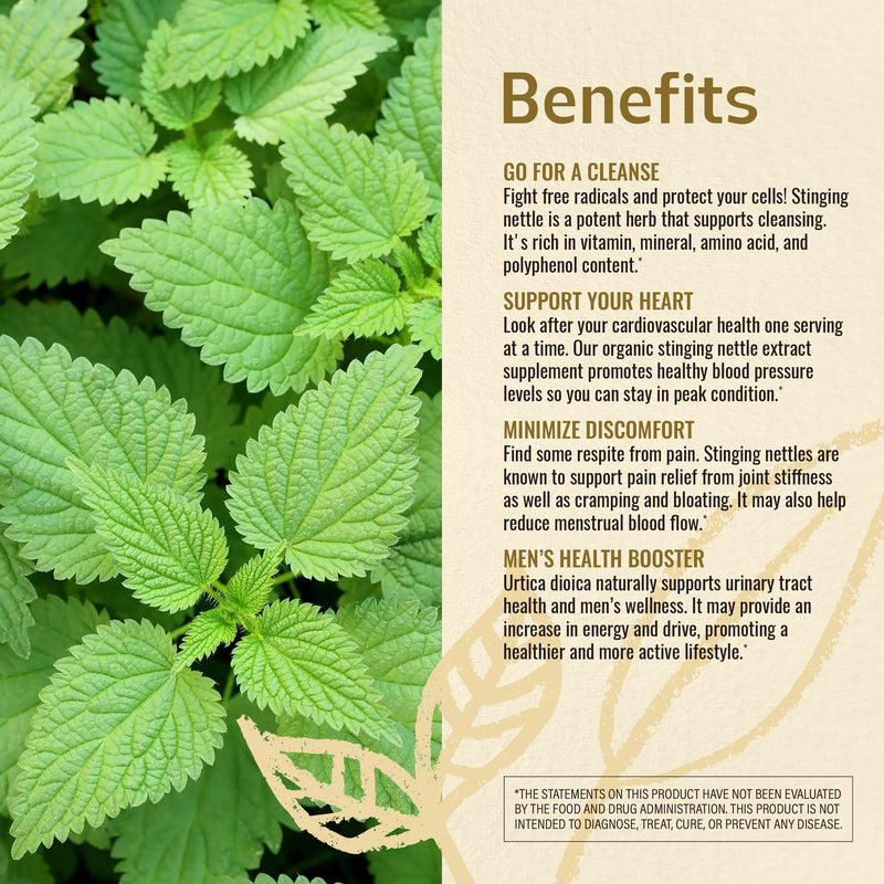 HERBAMAMA Stinging Nettle Capsules - 1200mg, 100 Capsules - Promotes Cleansing, Pain Relief & Normal Blood Pressure Levels - Urtica Dioica Root Extract Diet Supplement - Natural Non-GMO Herbal Support - NewNest Australia
