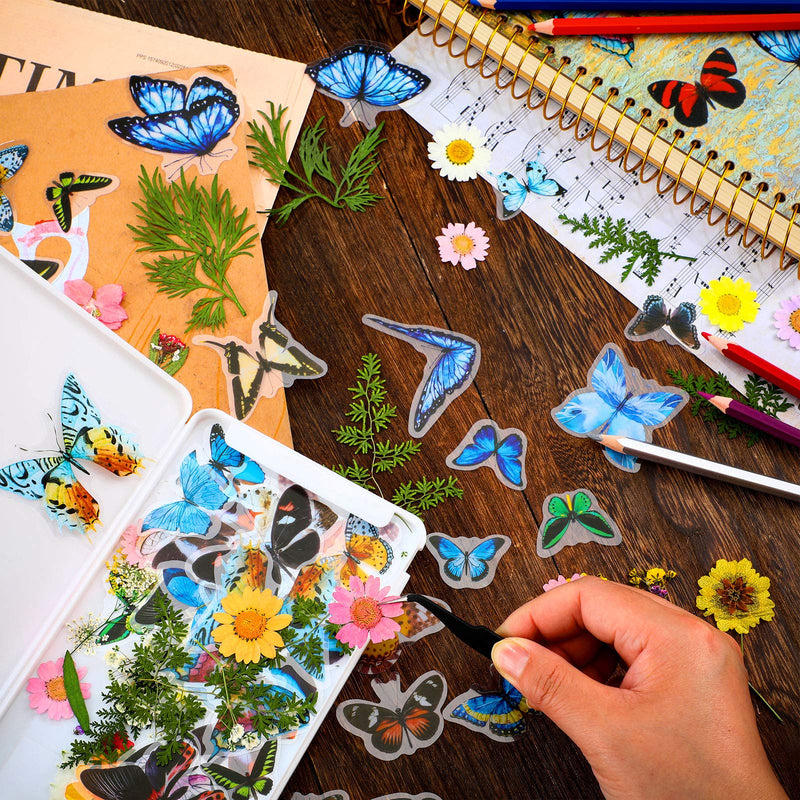 Dried Pressed Flower and Butterfly Transparent Sticker Set, Natural Real Dried Flower Butterfly Scrapbook Decal with Box and Curved Tweezers for DIY Decoration Resin Making (Bright Series) Bright Series - NewNest Australia