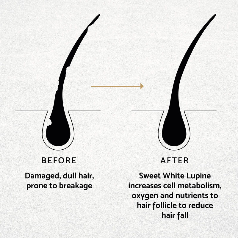 Percy & Reed Give Me Strength Strengthening Scalp Concentrate - High Performance Hair Serum Strengthens & Thickens Hair at the Root Level - Aloe Vera Nourishes and Soothes Scalp - 50ml - NewNest Australia