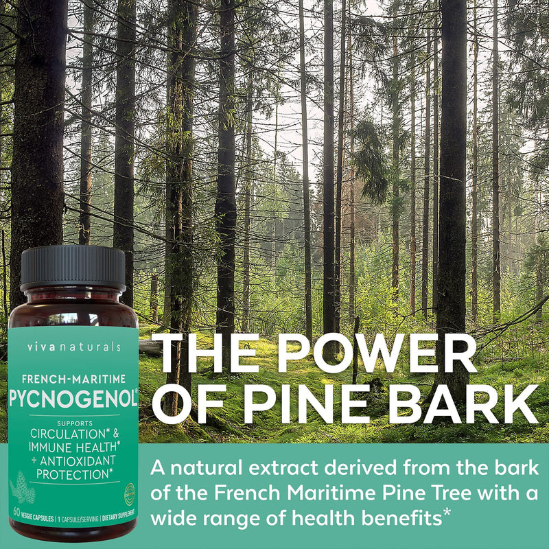 Pycnogenol 100mg from French Maritime Pine Bark Extract - Healthy Blood Circulation Supplements, Powerful Antioxidant Protection, Joint Support and Immune Support (60 Veggie Capsules) 60 Count (Pack of 1) - NewNest Australia