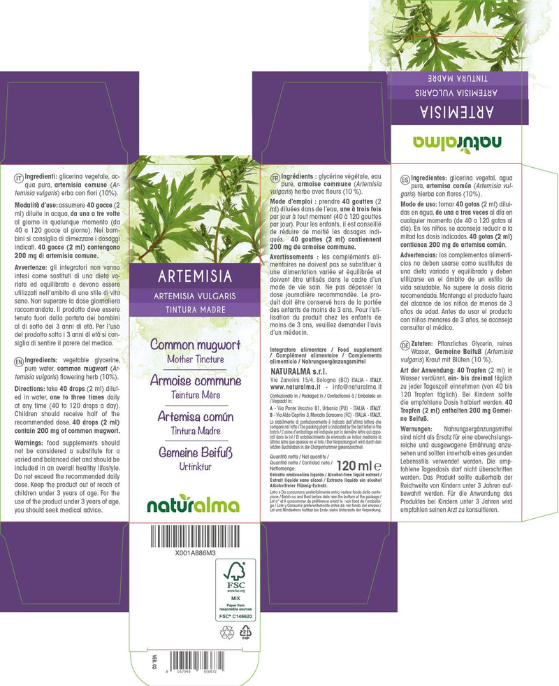 Common Mugwort (Artemisia vulgaris) herb with Flowers Alcohol-Free Mother Tincture Naturalma | Liquid Extract Drops 120 ml | Food Supplement | Vegan 120 ml (Pack of 1) - NewNest Australia