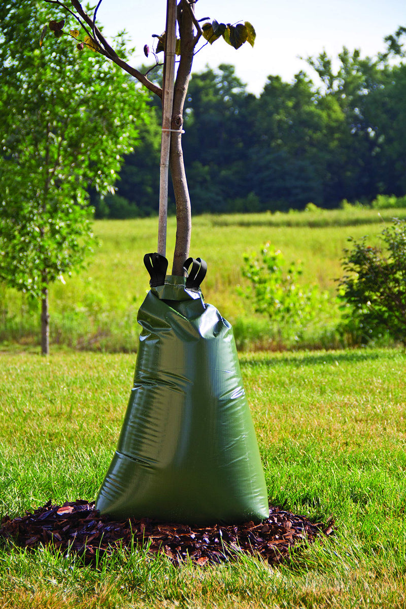 King Innovation 44020 Sapling Soaker , Green - NewNest Australia