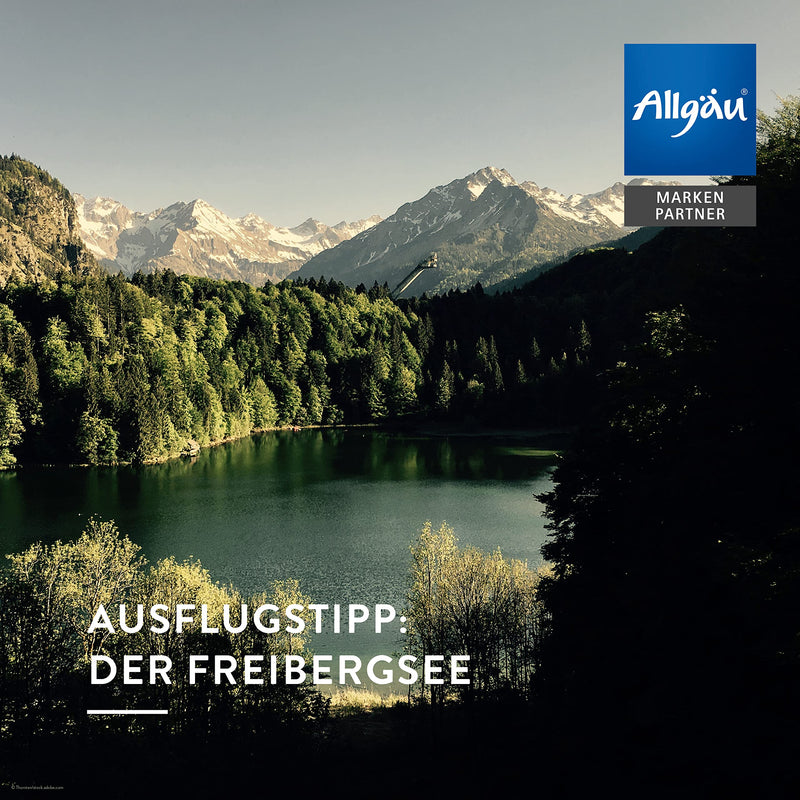 Allg√§Uquelle Organic Infrared Cabin Fragrance Spray With 100% Organic Oils Allg√§Uer Natural Air Alpine Pine Laurel Spruce Pine (100 Ml) Natural Infrared Sauna Fragrance With Essential Oils Organic Infrared Cabin Fragrance Oil - NewNest Australia