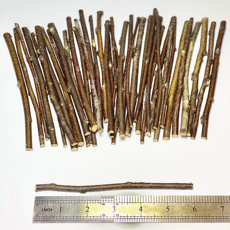 120 Gram - Wood Sticks for Crafts - 6 Inch Birch Wood Craft Sticks - Natural Twigs Sticks for Crafting, DIY School Projects, Card Making, Embellishments & Photo Props 120 g - NewNest Australia