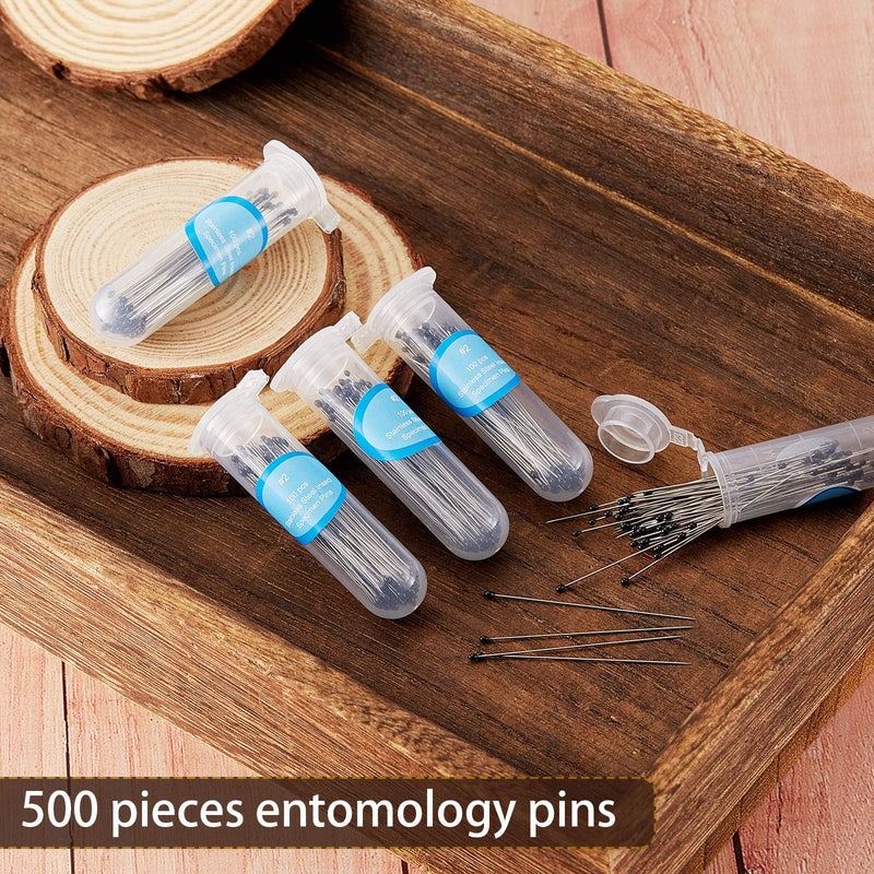 Stainless Steel Insect Pins Specimen Pins Entomology Pins Dissection and Butterfly Collections Needle for School Lab Entomology Dissection Butterfly Collectors (500 Pieces,Size 2) Size 2 500 - NewNest Australia