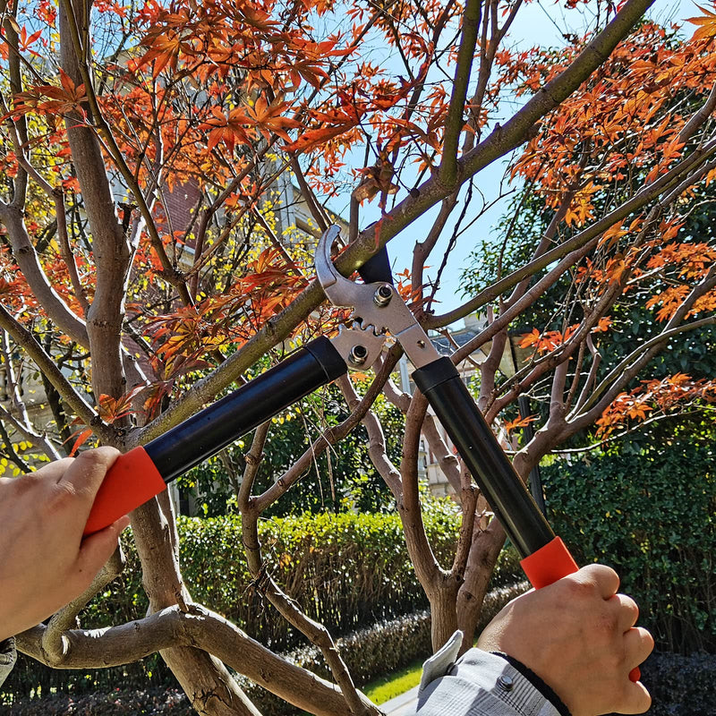 KLDOLLAR 15 Inch Tree Trimmer, Super Powerful Gear Loppers, gardening pruners, Lightweight Branch Cutter with 1.3 Inch Capacity 15in-Gear Lopper - NewNest Australia