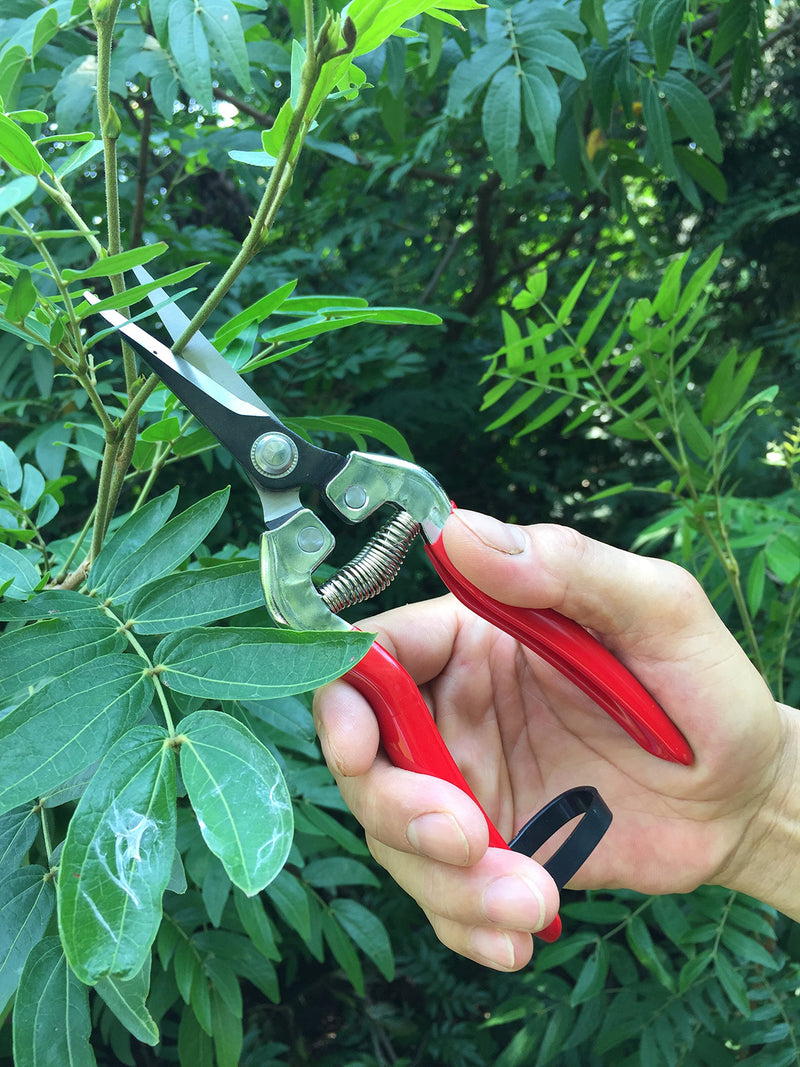 gonicc Professional Micro-Tip Pruning Snip (GPPS-1008), Small Garden Hand Pruner & Shears for Arranging Flowers, Trimming Plants & Hydroponic Herbs, and Harvesting Fruits & Vegetables. - NewNest Australia