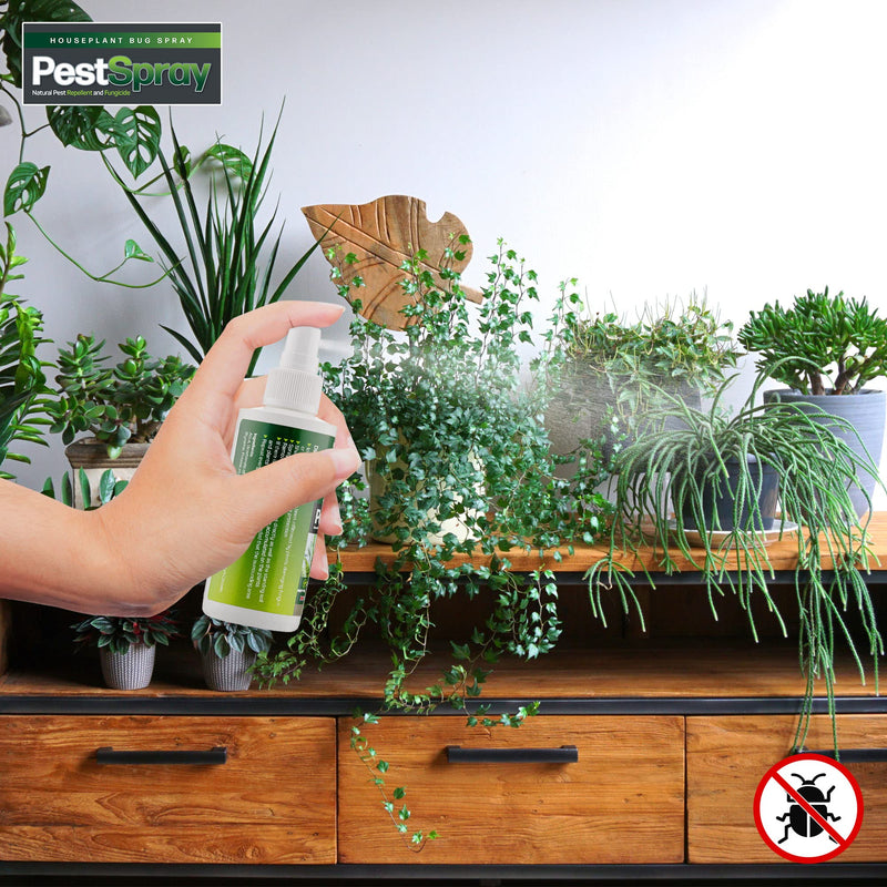 EFA International Houseplant Bug Spray, PestSpray, Natural Pest Repellent & Fungicide, Plant Spray, Bug Control Repellent, Peppermint Oil Spray, Indoor Plants, 150ml Spray Bottle - NewNest Australia
