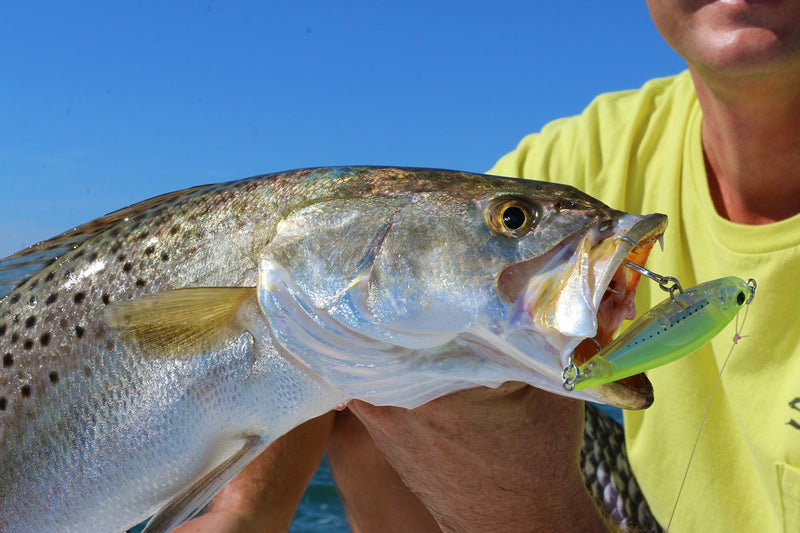 Yo-Zuri 3D Inshore Surface Minnow (F) 90mm 3-1/2" Mullet Floating Lure - NewNest Australia