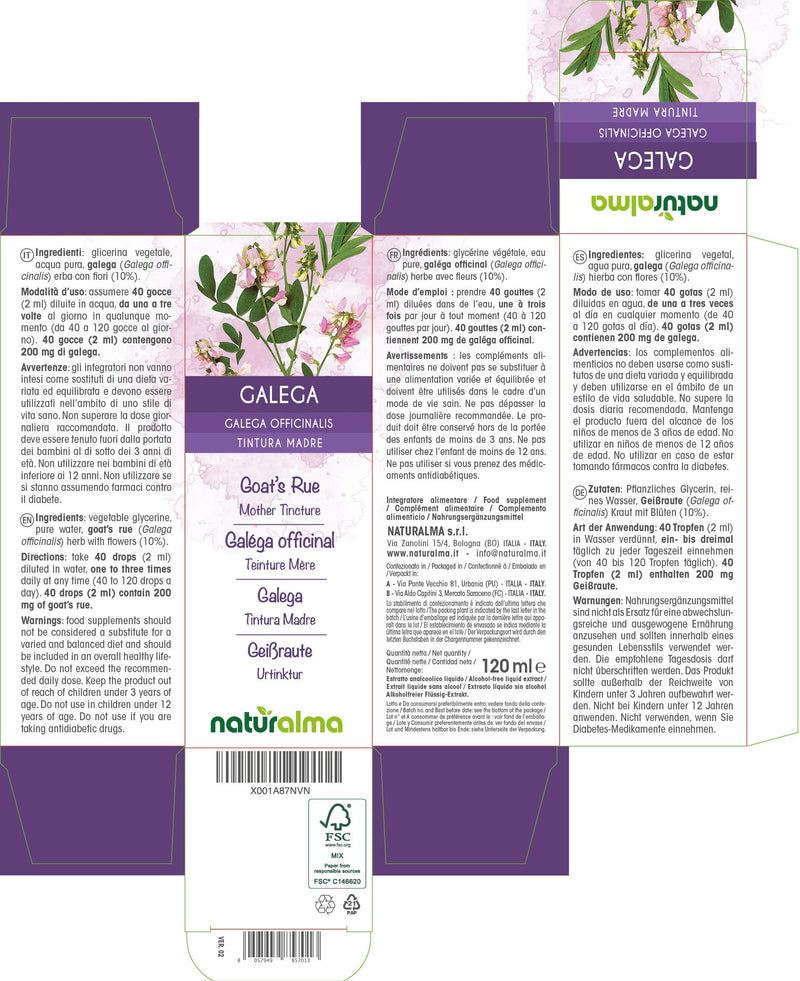 Goat's rue (Galega officinalis) herb with Flowers Alcohol-Free Mother Tincture Naturalma | Liquid Extract Drops 120 ml | Food Supplement | Vegan 120 ml (Pack of 1) - NewNest Australia