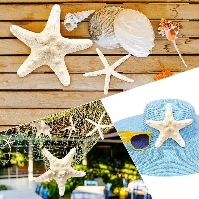 Maicodes 12 PCS Starfish | 2.5-6 Inch Starfish Decor | Natural Bulk Starfish Shells Perfect for Crafts Making Beach Theme Party Wedding Decoration, Home Wall Decor, Christmas Ornaments, Fish Tank - NewNest Australia