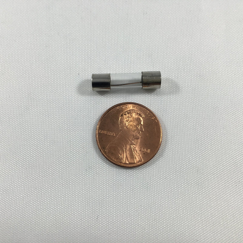 10Pcs F0.25AL250V 5X20MM 0.25A Fast Blow Fuse 0.25 Amp 250V Glass Cartridge Fuse Fast-Acting Fuse (3/16 in x 3/4 in) - NewNest Australia