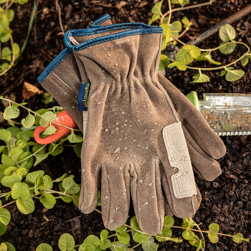 Wells Lamont Men's Heavy Duty Leather Ranching & Fencer Gloves | Durable, Abrasion & Water-Resistant HydraHyde, Medium (1019M) Tan - NewNest Australia