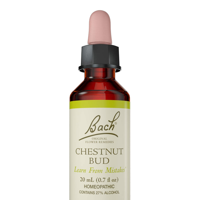 Bach Original Flower Remedies, Chestnut Bud for Learning from Mistakes, Natural Homeopathic Flower Essence, Holistic Wellness and Stress Relief, Vegan, 20mL Dropper - NewNest Australia