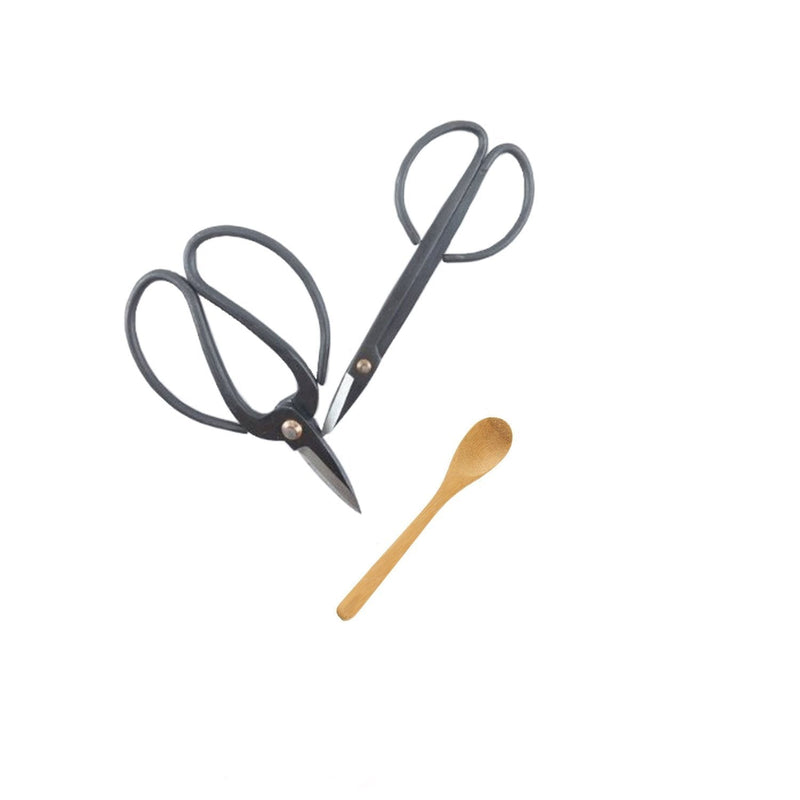 BambooMN Brand - 2 Piece Bonsai Shear Set w/A Free Teaspoon 2 Bonsai Shear Set - NewNest Australia