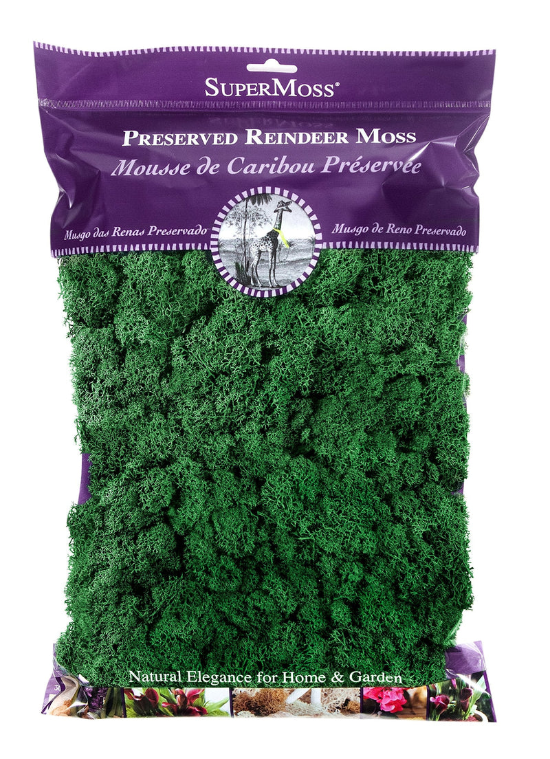 SuperMoss (21757) Reindeer Moss Preserved, Forest, 8oz (200 cubic inch) - NewNest Australia
