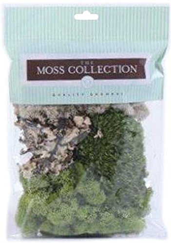 Quality Growers Variety Pack Moss, 108.5 Cubic Inch - NewNest Australia