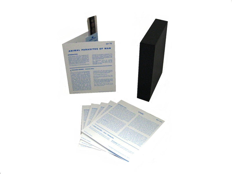 American Educational Microslide Animal Parasites of Man Lesson Set, French Text - NewNest Australia