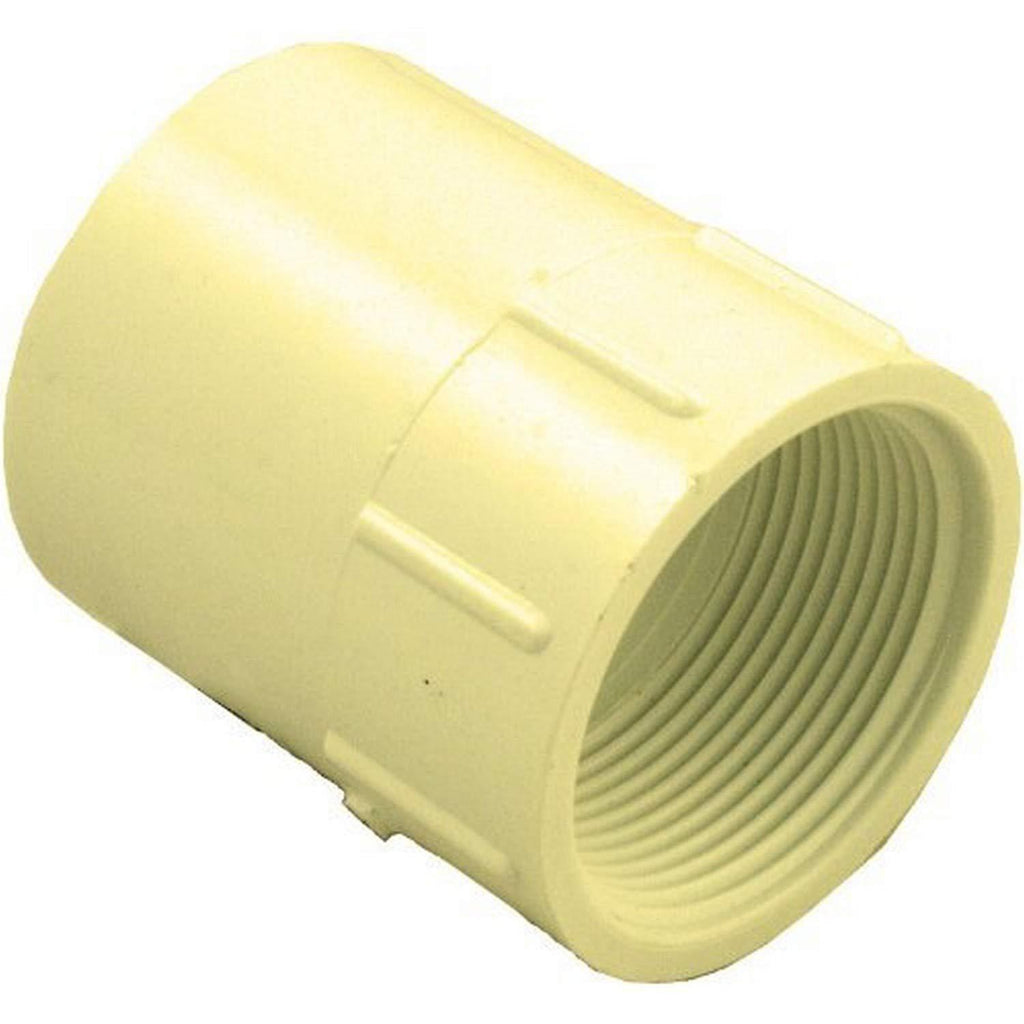 Plumber's Choice 97277 FIP Adapter 1/2-Inch CPVC Fitting with Schedule 40, S by FIP (5-Pack) - NewNest Australia