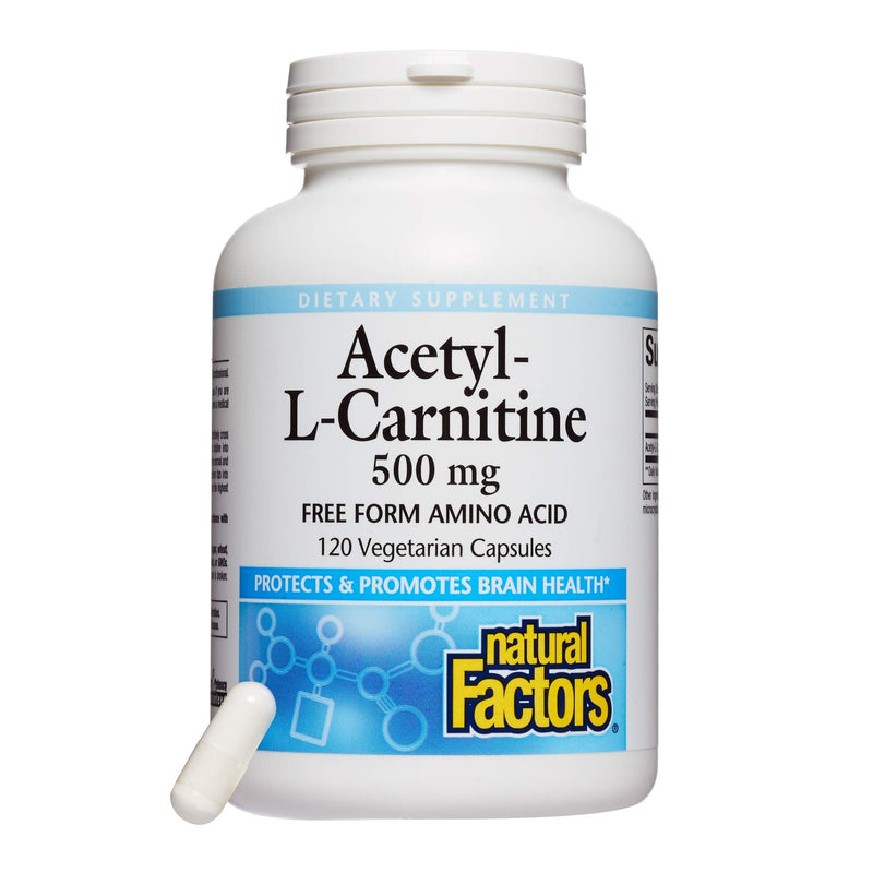 Natural Factors, Acetyl L-Carnitine 500 mg, Promotes a Healthy Memory, Concentration and Brain Function, 120 capsules (60 servings) - NewNest Australia