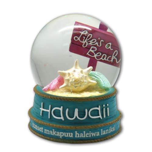 NewNest Australia - Life's a Beach Sea Shells Glass Water Globe 