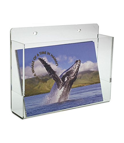 Source One LLC Premium Wall Mount Postcard Holder Display Rack (1-Pack Clear) - NewNest Australia