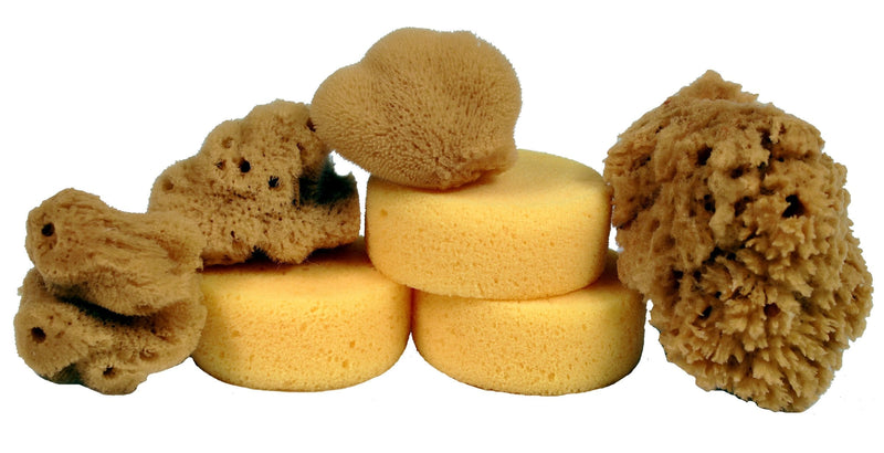 Creative Hobbies Synthetic and Natural Silk Sponges for Painting, Crafts, Ceramics, Pottery and More, Value Pack of 7 Sponges - NewNest Australia