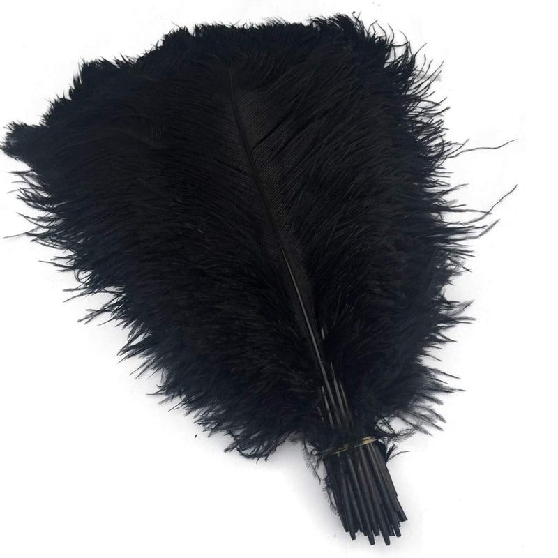 Shekyeon Black 16-18inch 40-45cm Ostrich Feather DIY Craft Feather Pack of 10 - NewNest Australia