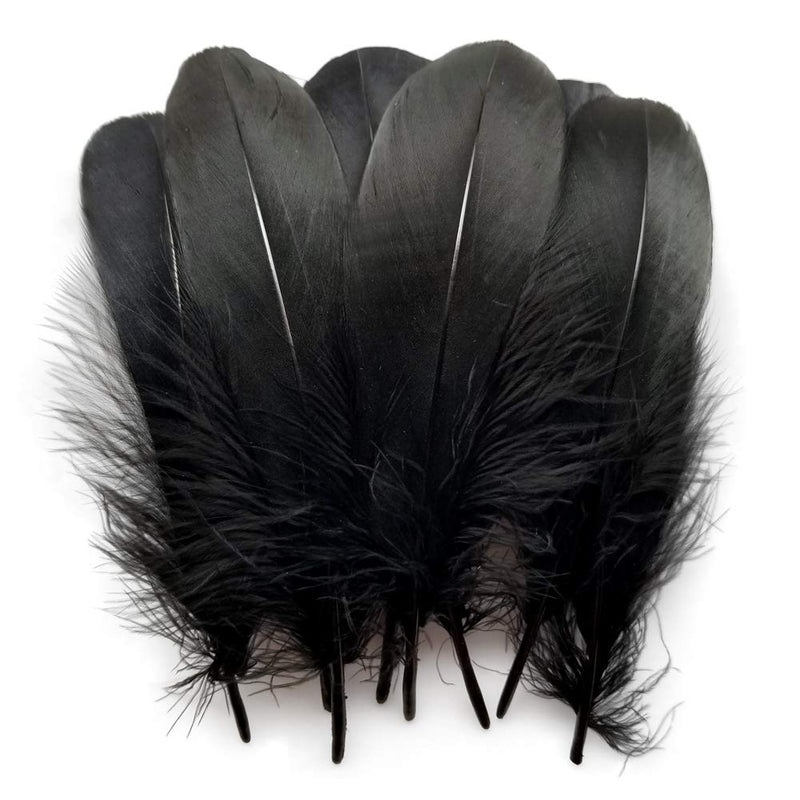 Sowder Natural Goose Feathers Clothing Accessories Pack of 100 (Black) Black - NewNest Australia