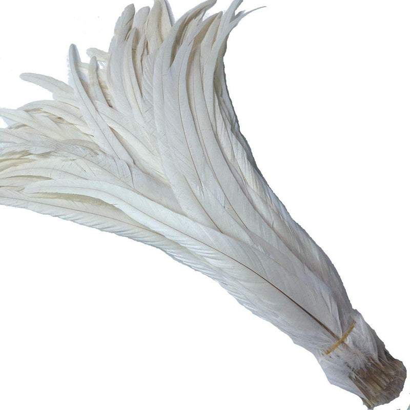 Shekyeon 12-14inch Rooster Tail Feather Used Hats Costume Decoration Pack of 50(Beige/Ivory) Beige/Ivory - NewNest Australia