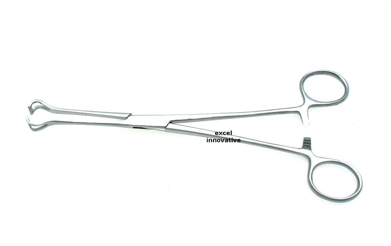 Babcock Tissue Forceps with Ratchet Lock (Multiple Size Options) | Medixplus (8.25" Length - Jaws 10mm Wide) 8.25" Length - Jaws 10mm Wide - NewNest Australia