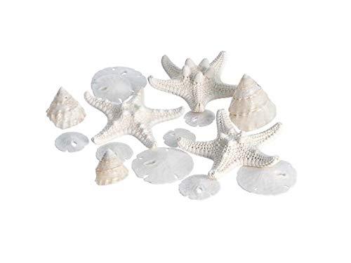 NewNest Australia - Miniature White Wedding Nautical Mix | 12 Pieces | Includes Small White Knobby Starfish, Sand Dollars, Mother of Pearl Turbo Shells All Under 2" Each | Plus Free Nautical Ebook by Joseph Rains 