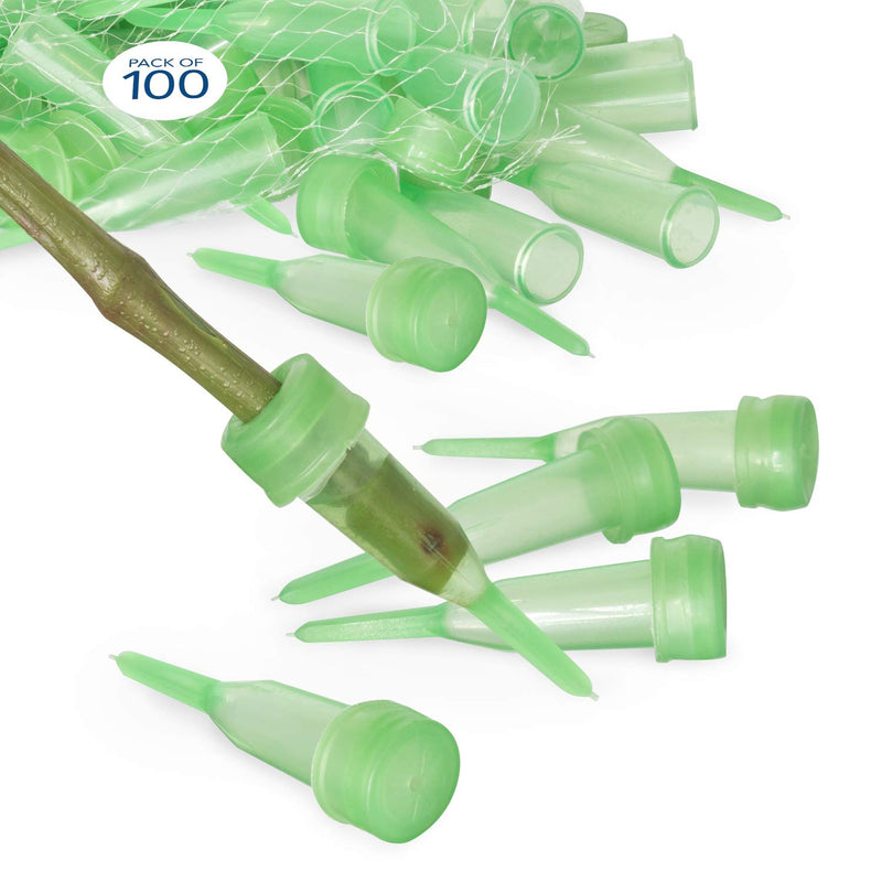 Floral Water Tubes/Vials for Flower Arrangements by Royal Imports, Green - 2.5" (1/2" Opening) - Pointed Style - 100/Pack - w/Caps 2.5" 2.5" Green-Pointed - NewNest Australia