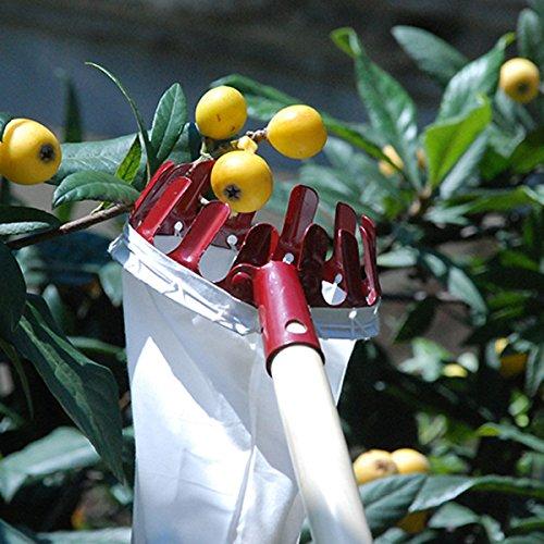 Home-organizer Tech Fruit Picker Package Useful Fruit Picker Pole Gardening Apple Pear Peach Picking Tools(Color in Random May White, red, Orange) - NewNest Australia