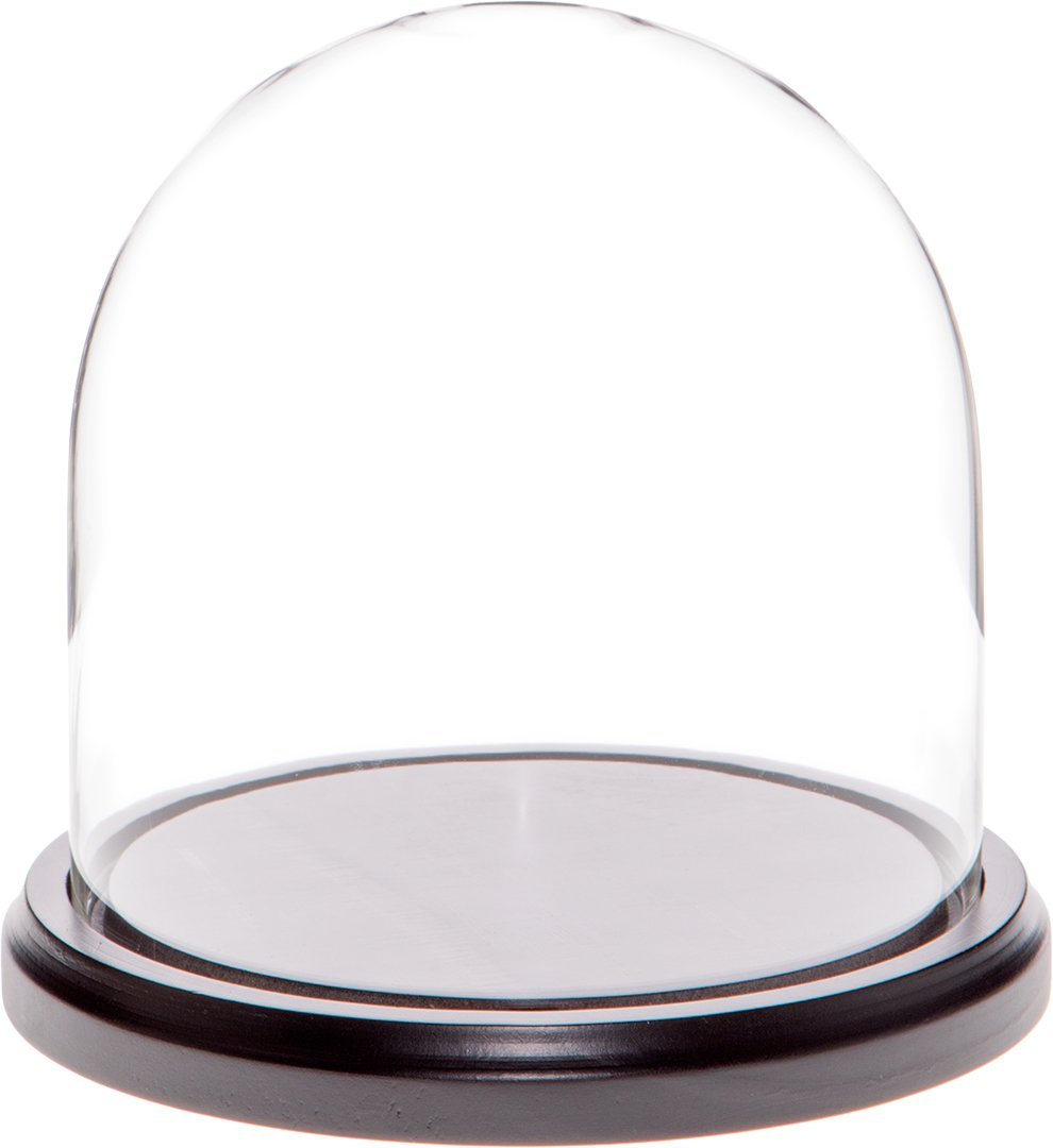 NewNest Australia - Plymor 5.5" x 5.5" Glass Display Dome Cloche (Black Wood Base) Black Wood Base 