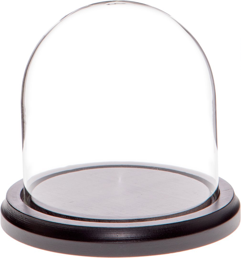 NewNest Australia - Plymor 4" x 4" Glass Display Dome Cloche (Black Wood Base) Black Wood Base 