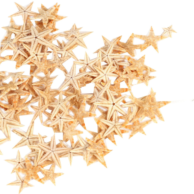 Ogrmar Small Starfish Star Sea Shell Beach Craft 0.4"-1.2" 90 Pcs - NewNest Australia